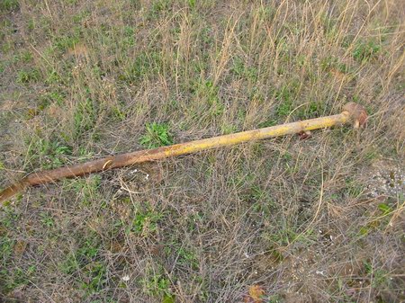 Commerce Drive-In Theatre - Speaker Pole